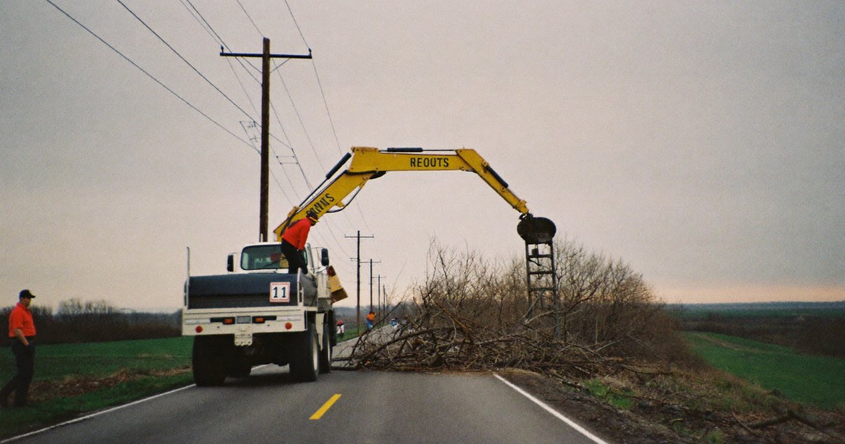 Utility crew clearing storm damage near power lines